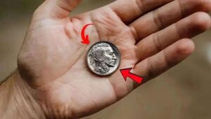 Rare No-Date Buffalo Nickel Valued at $875,000