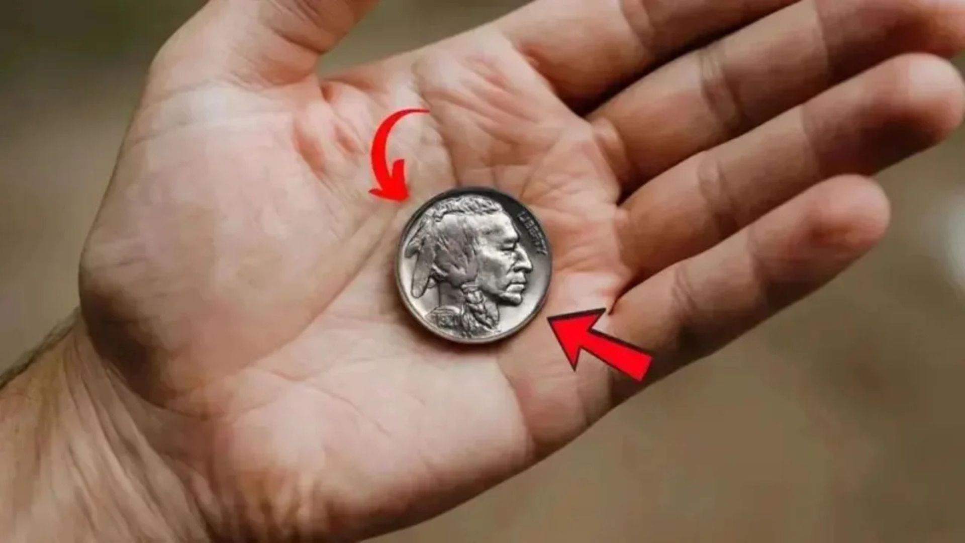 Rare No-Date Buffalo Nickel Valued at $875,000