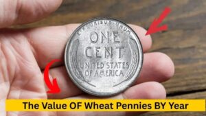 Wheat Pennies Value Guide 2025